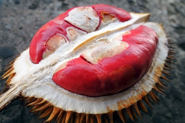 Malaysia có sầu riêng đỏ đặc trưng