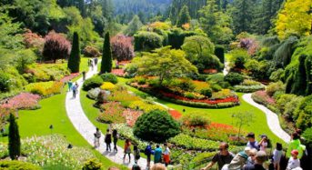 Mua vé máy bay Korean Air khám phá thành phố Victoria xinh đẹp