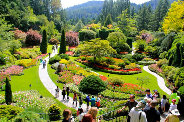 Khu vườn Butchart Garden được tô thêm sắc thắm bởi hoa cỏ