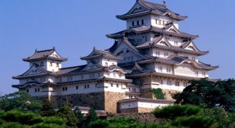 3 trải nghiệm làm nên chuyến du lịch Tokyo đúng nghĩa