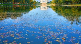 Những điều tốt nhất cần làm khi tới Washington