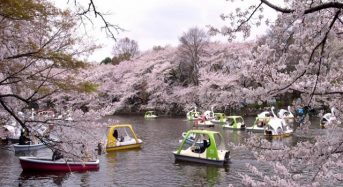 Thưởng lãm 3 công viên có cảnh quan đẹp nhất ở Tokyo