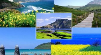 Hẹn hò ở đảo Jeju, tại sao không?