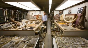 Những trải nghiệm lý thú bạn nên thử ở Washington