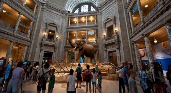 Washington DC – thủ đô của những bảo tàng lịch sử