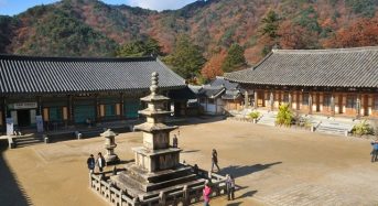 5 địa điểm Phật giáo nổi tiếng nhất Daegu