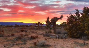 Top 3 điểm tham quan thú vị ở Las Vegas